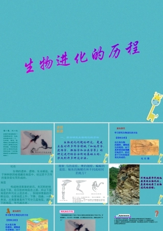 八年级生物下册 7.3.2生物进化的历程课件2 （新版）新人教版-（新版）新人教版初中八年级下册生物课件