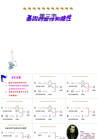 八年级生物下册 7.2.3 基因的显性和隐性课件4 （新版）新人教版