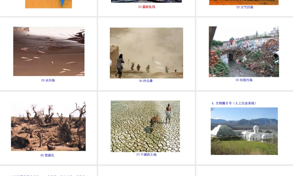 八年级生物下册 第10单元 第26章 第二节 生物圈是生物的共同家园课件 苏教版