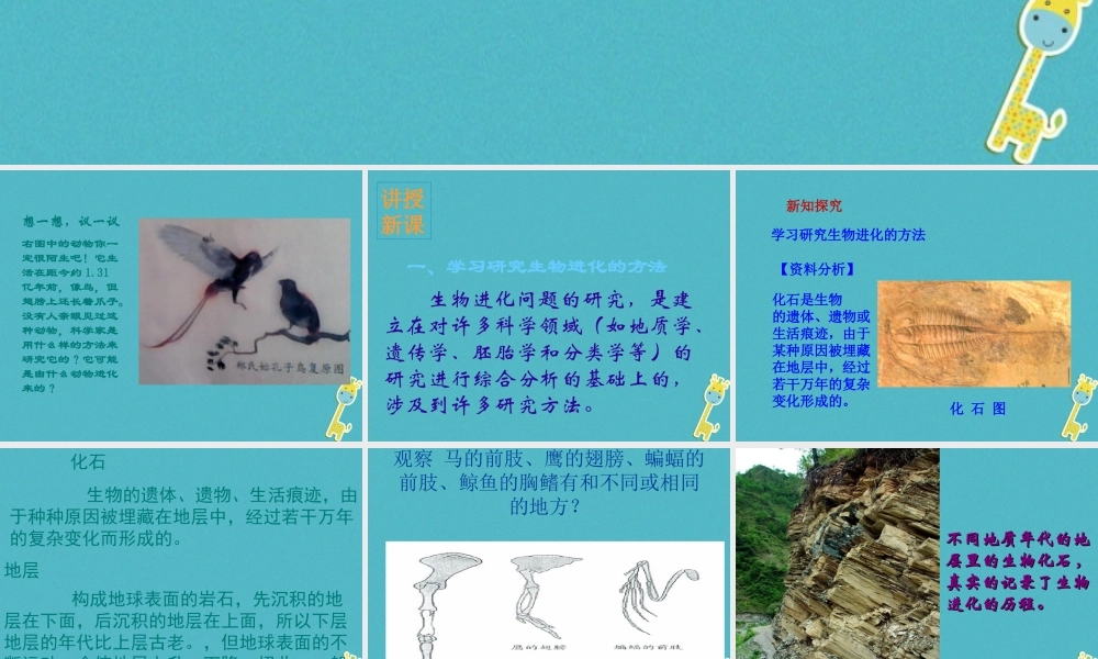 八年级生物下册 7.3.2生物进化的历程课件2 （新版）新人教版-（新版）新人教级下册生物课件