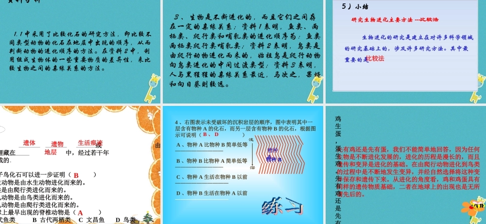 八年级生物下册 7.3.2生物进化的历程课件2 （新版）新人教版-（新版）新人教级下册生物课件