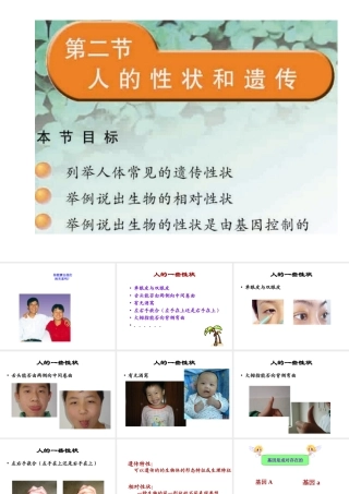 八年级生物下册 22.2 人的性状和遗传课件 （新版）苏教版-（新版）苏教级下册生物课件