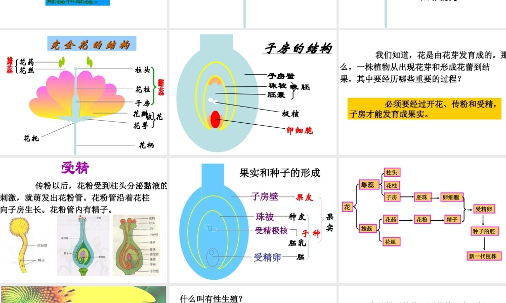 八年级生物下册 7.1.1 植物的生殖课件（3）（新版）新人教版-（新版）新人教级下册生物课件