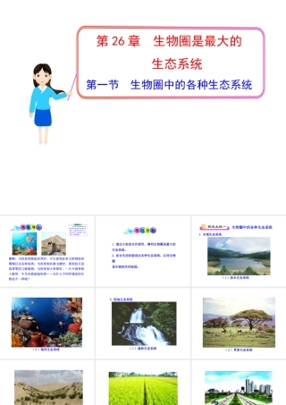 八年级生物下册 第10单元 第26章 第一节 生物圈中的各种生态系统课件 苏教版