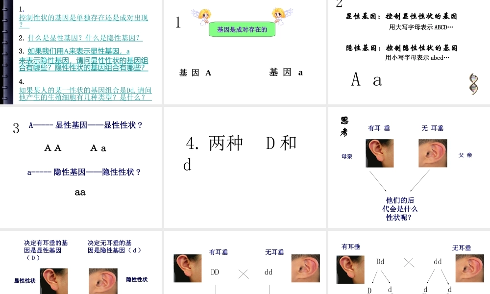 八年级生物下册 22.2 人的性状和遗传课件 （新版）苏教版