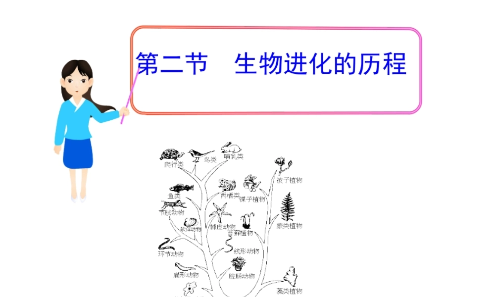 八年级生物下册 7.3.2生物进化的历程课件3 （新版）新人教版-（新版）新人教级下册生物课件