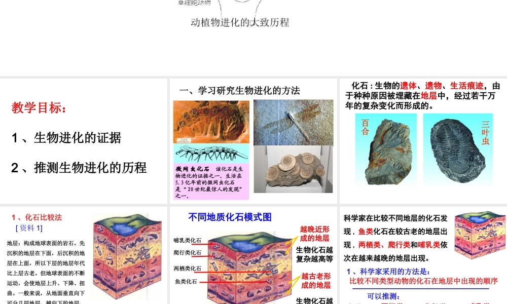 八年级生物下册 7.3.2生物进化的历程课件3 （新版）新人教版-（新版）新人教级下册生物课件