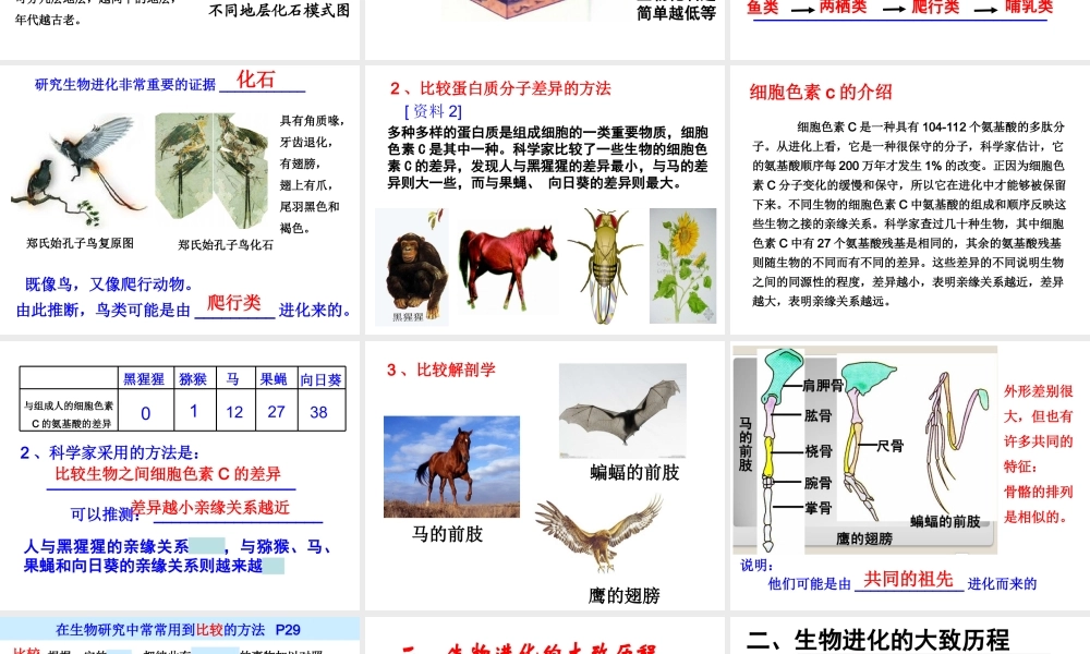 八年级生物下册 7.3.2生物进化的历程课件3 （新版）新人教版-（新版）新人教级下册生物课件