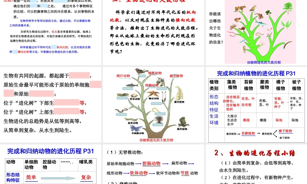 八年级生物下册 7.3.2生物进化的历程课件3 （新版）新人教版-（新版）新人教级下册生物课件