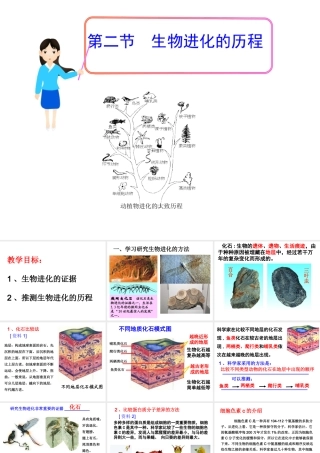 八年级生物下册 7.3.2生物进化的历程课件3 （新版）新人教版-（新版）新人教级下册生物课件