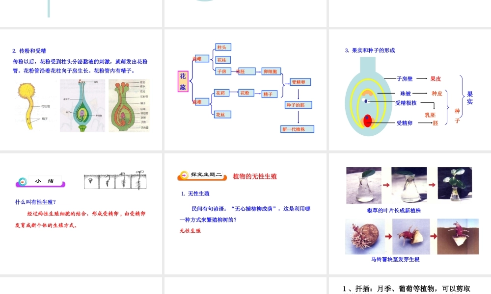 八年级生物下册 7.1.1 植物的生殖课件2 （新版）新人教版-（新版）新人教级下册生物课件