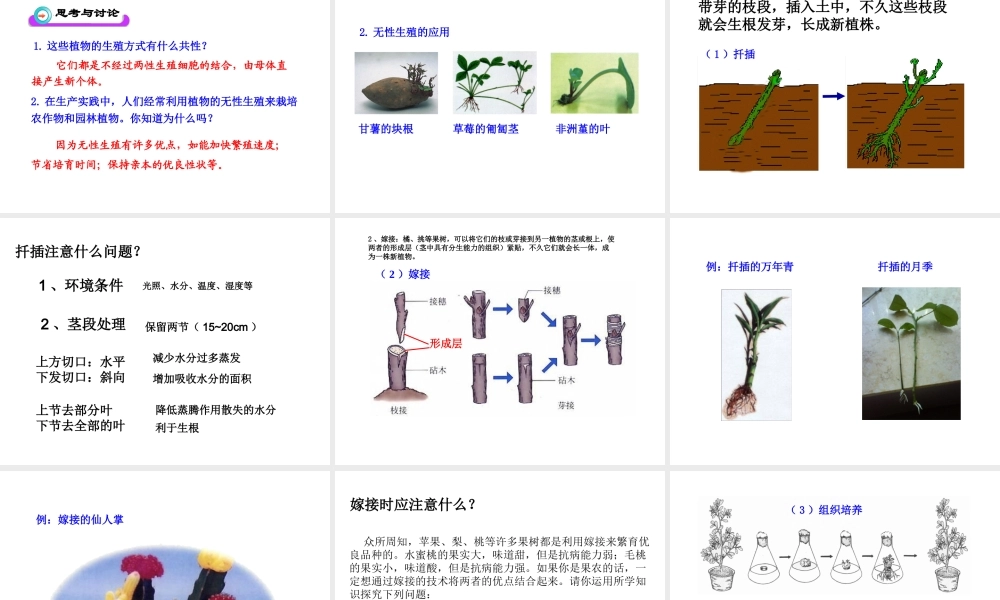 八年级生物下册 7.1.1 植物的生殖课件2 （新版）新人教版-（新版）新人教级下册生物课件