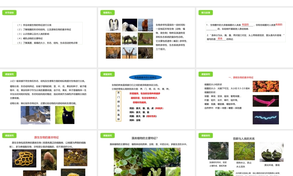 八年级生物下册 第13章 生物的多样性章末复习课件 北京课改版-北京课改版初中八年级下册生物课件