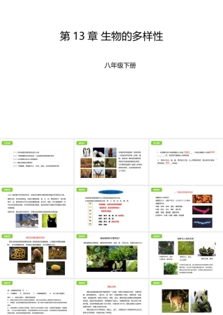 八年级生物下册 第13章 生物的多样性章末复习课件 北京课改版-北京课改版初中八年级下册生物课件