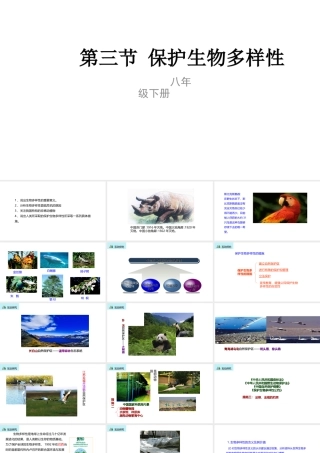 八年级生物下册 7.3.3 保护生物多样性课件 （新版）冀教版-（新版）冀教版初中八年级下册生物课件