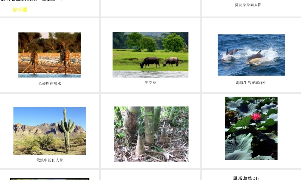 八年级生物下册 7.2.3 生物圈课件 冀教版-冀教版初中八年级下册生物课件