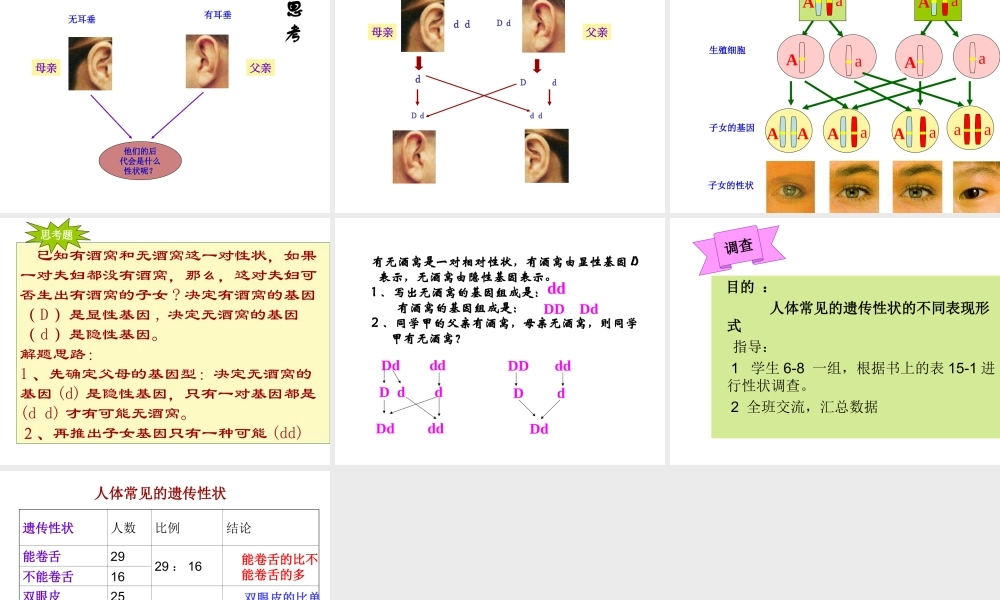 八年级生物下册 22.2 人的遗传性状课件 （新版）苏教版-（新版）苏教版初中八年级下册生物课件