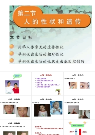 八年级生物下册 22.2 人的遗传性状课件 （新版）苏教版-（新版）苏教版初中八年级下册生物课件