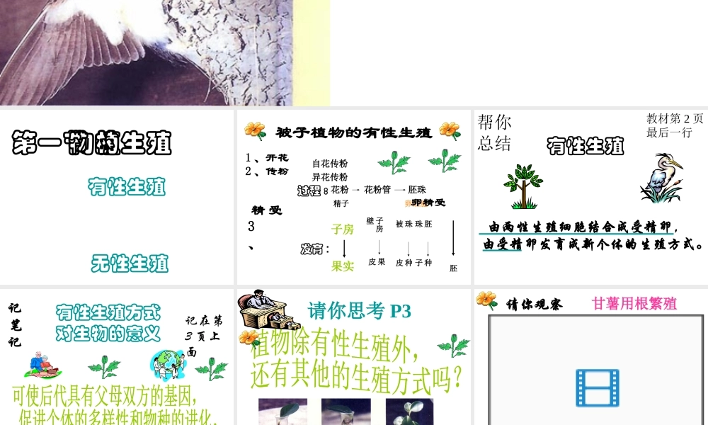 八年级生物下册 7.1.1 植物的生殖课件2 新人教版