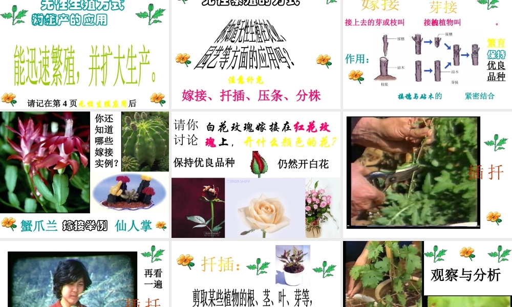 八年级生物下册 7.1.1 植物的生殖课件2 新人教版