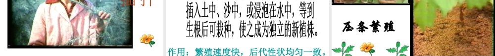 八年级生物下册 7.1.1 植物的生殖课件2 新人教版