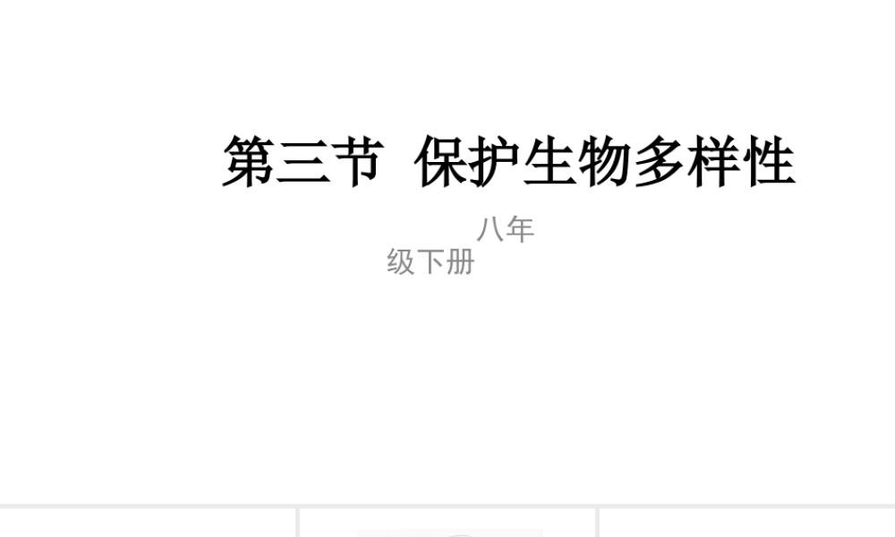 八年级生物下册 7.3.3 保护生物多样性课件 （新版）冀教版-（新版）冀教级下册生物课件