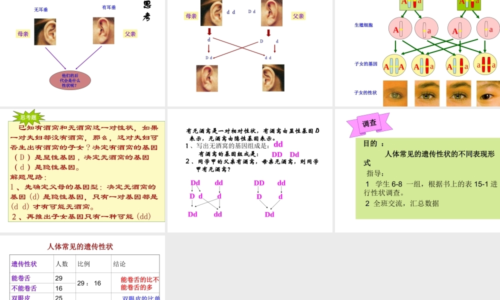 八年级生物下册 22.2 人的遗传性状课件 （新版）苏教版-（新版）苏教级下册生物课件