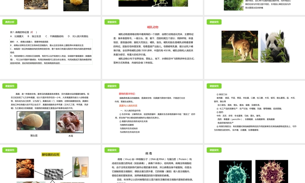 八年级生物下册 第13章 生物的多样性章末复习课件 北京课改版-北京课改级下册生物课件