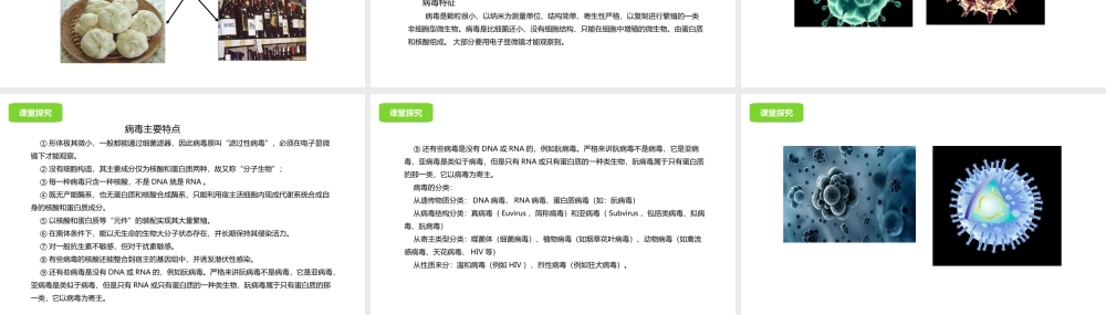 八年级生物下册 第13章 生物的多样性章末复习课件 北京课改版-北京课改级下册生物课件