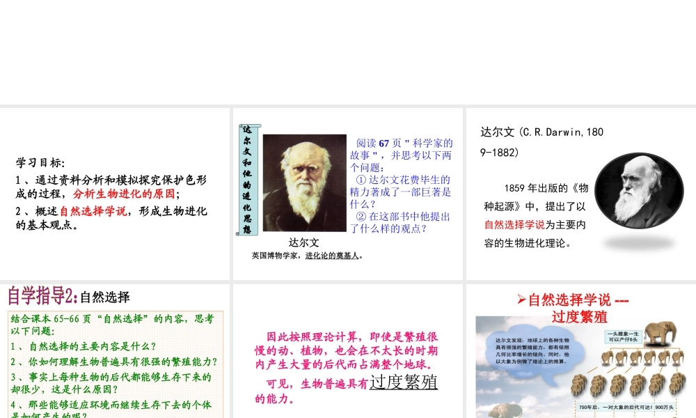 八年级生物下册 7.3.3 生物进化的原因（第2课时）课件 新人教版-新人教版初中八年级下册生物课件