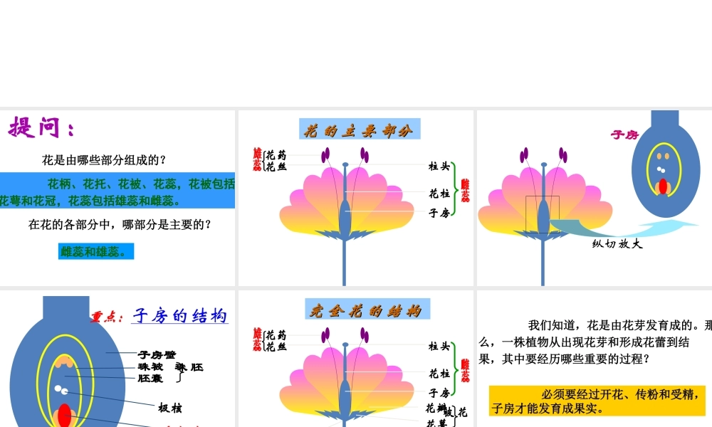 八年级生物下册 7.1.1《植物的生殖》课件1 新人教版