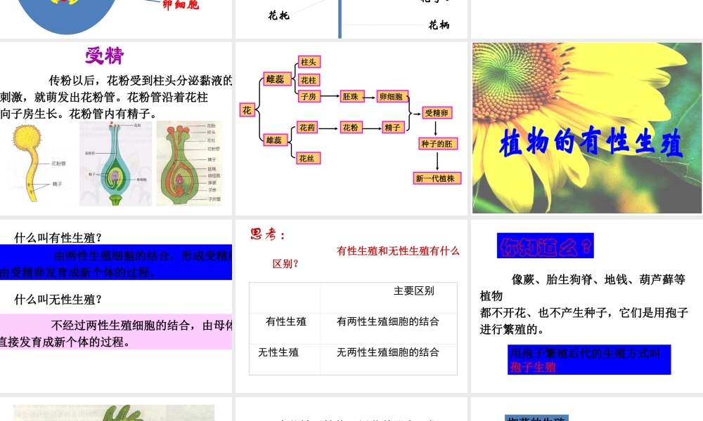 八年级生物下册 7.1.1《植物的生殖》课件1 新人教版