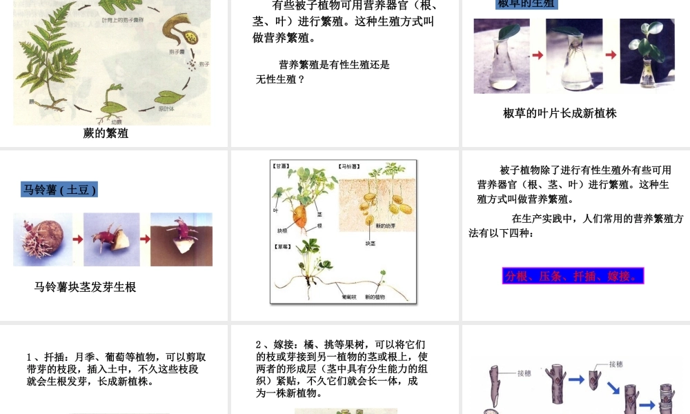 八年级生物下册 7.1.1《植物的生殖》课件1 新人教版