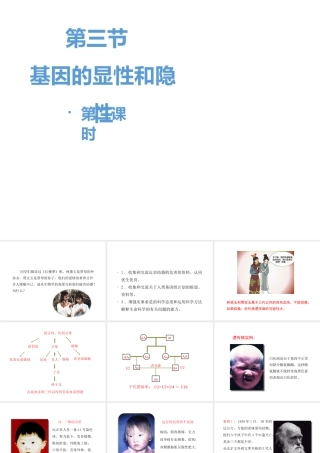 八年级生物下册 7.2.3《基因的显性和隐性》第二课时课件 （新版）新人教版-（新版）新人教版初中八年级下册生物课件