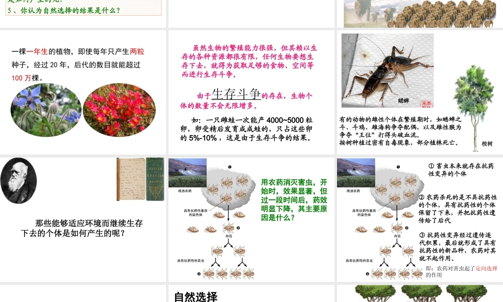 八年级生物下册 7.3.3 生物进化的原因（第2课时）课件 新人教版-新人教级下册生物课件