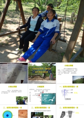 八年级生物下册 第13章 生物的多样性—植物篇 明代栗园识板栗活动课件 北京课改版-北京课改版初中八年级下册生物课件
