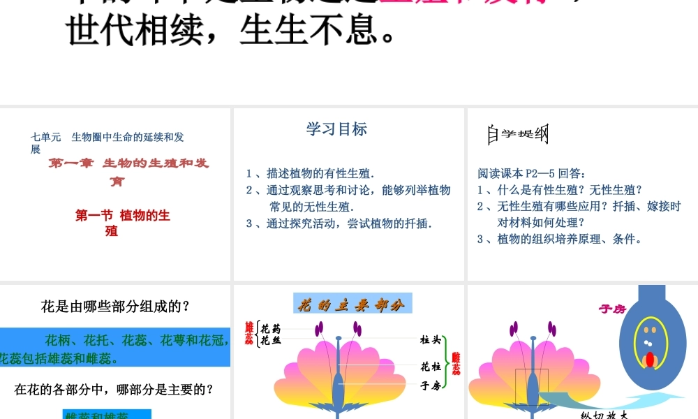 八年级生物下册 7.1.1《植物的生殖》课件2 新人教版