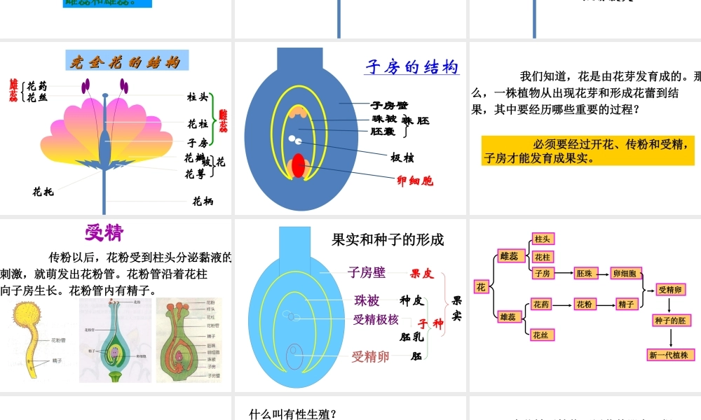 八年级生物下册 7.1.1《植物的生殖》课件2 新人教版