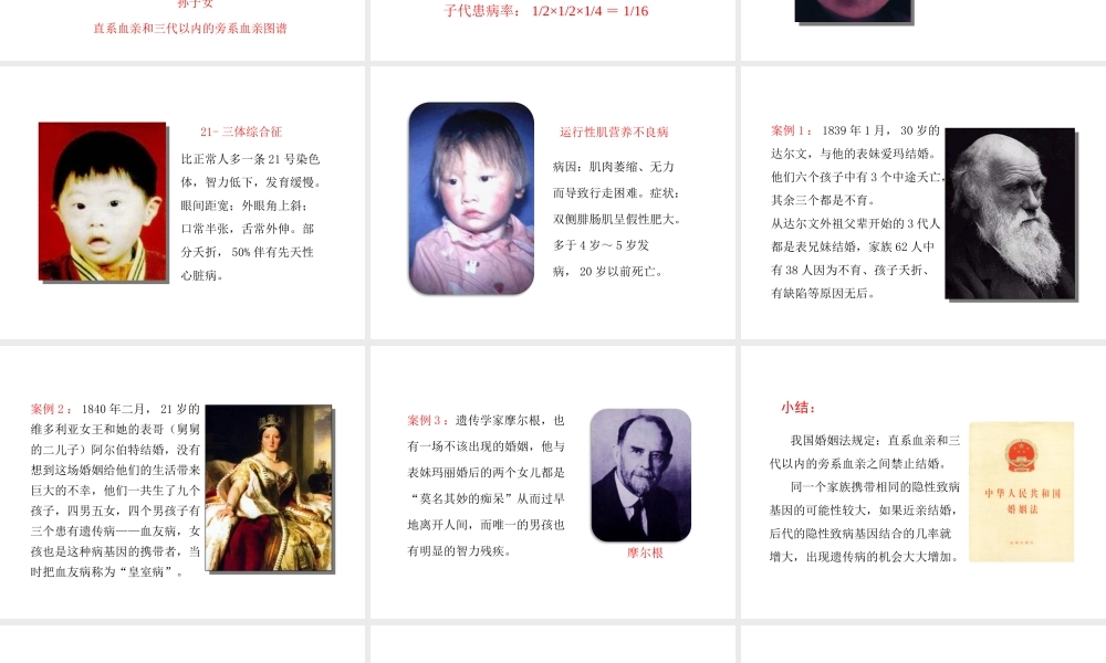 八年级生物下册 7.2.3《基因的显性和隐性》第二课时课件 （新版）新人教版-（新版）新人教级下册生物课件