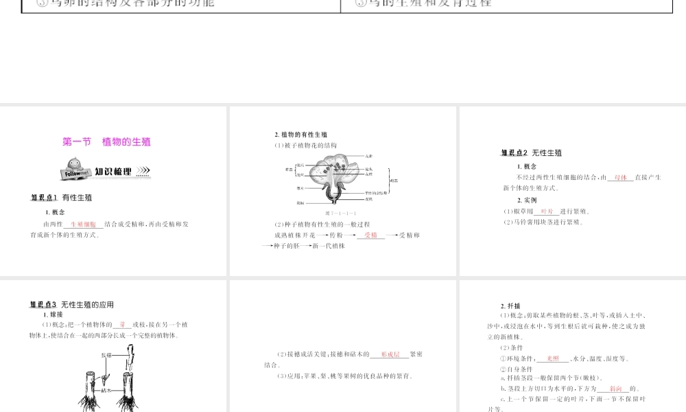 八年级生物下册 7.1.1《植物的生殖》配套课件 人教新课标版