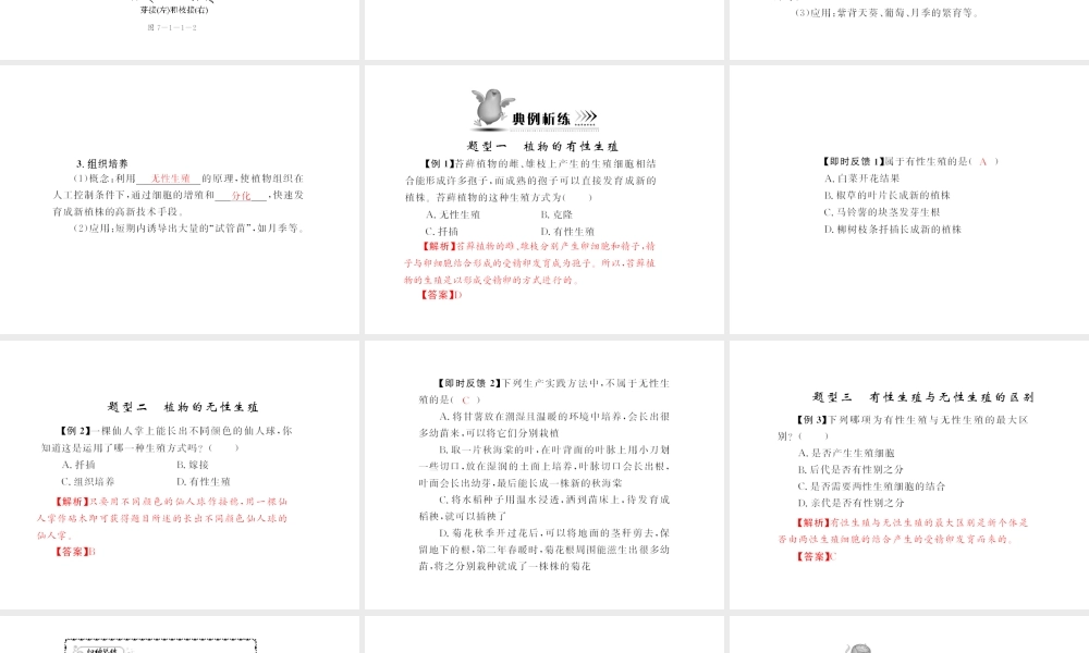 八年级生物下册 7.1.1《植物的生殖》配套课件 人教新课标版
