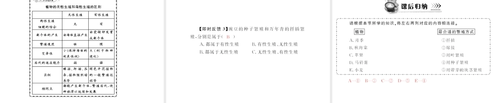 八年级生物下册 7.1.1《植物的生殖》配套课件 人教新课标版