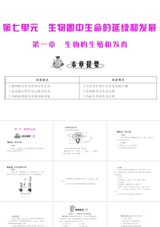 八年级生物下册 7.1.1《植物的生殖》配套课件 人教新课标版