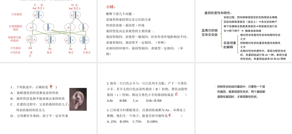 八年级生物下册 7.2.3《基因的显性和隐性》第一课时课件 （新版）新人教版-（新版）新人教版初中八年级下册生物课件