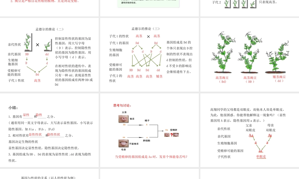 八年级生物下册 7.2.3《基因的显性和隐性》第一课时课件 （新版）新人教版-（新版）新人教级下册生物课件