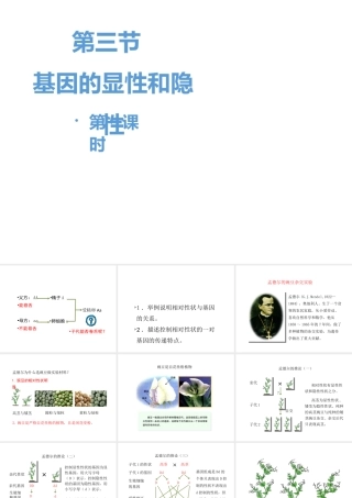 八年级生物下册 7.2.3《基因的显性和隐性》第一课时课件 （新版）新人教版-（新版）新人教级下册生物课件