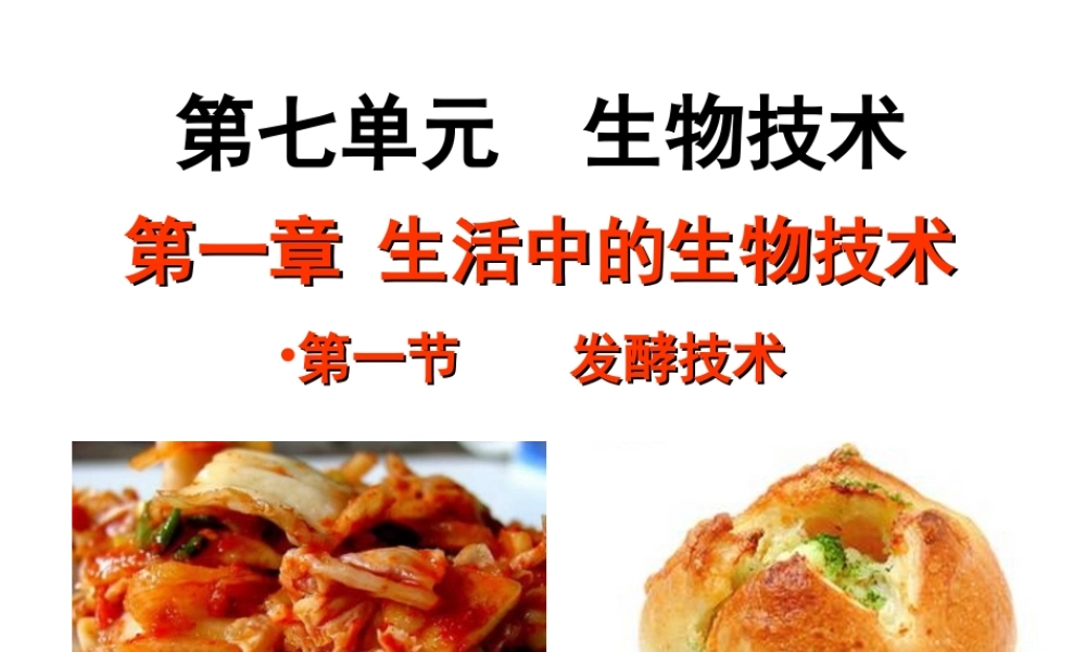 八年级生物下册 7.1.1发酵技术课件 （新版）济南版-（新版）济南版初中八年级下册生物课件