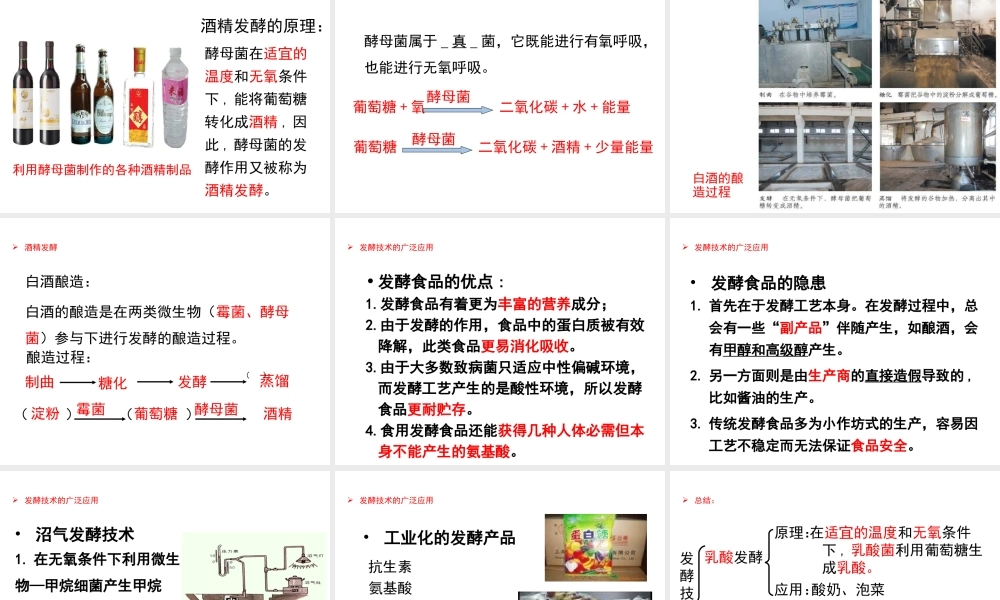 八年级生物下册 7.1.1发酵技术课件 （新版）济南版-（新版）济南版初中八年级下册生物课件