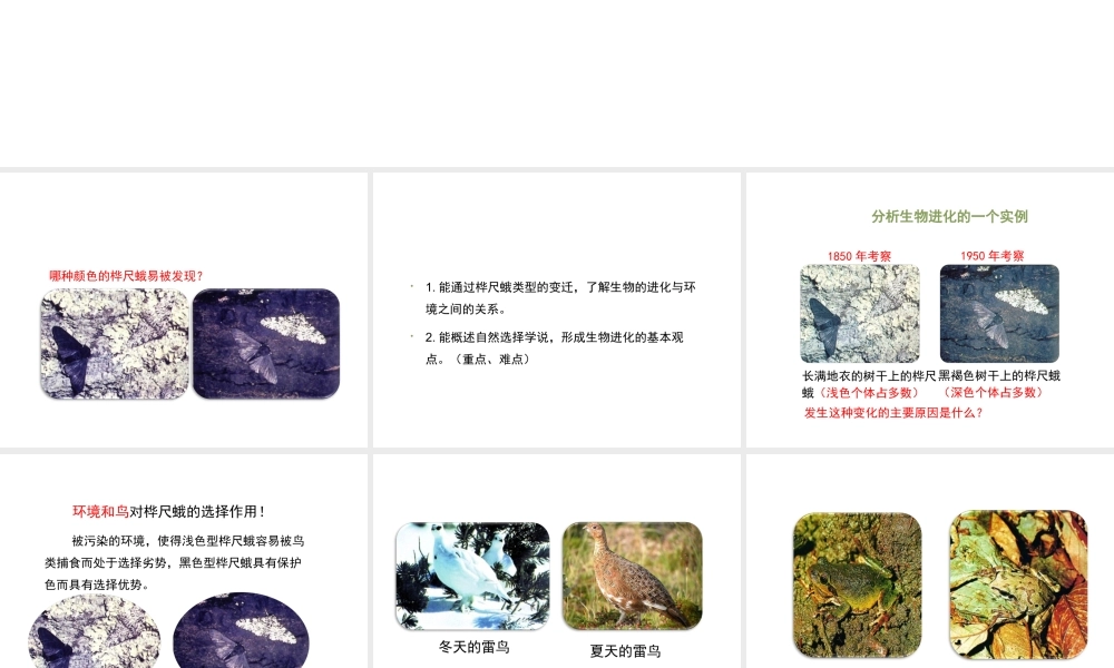 八年级生物下册 7.3.3 生物进化的原因教学课件 （新版）新人教版-（新版）新人教版初中八年级下册生物课件