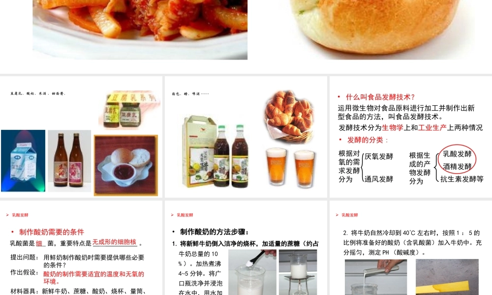 八年级生物下册 7.1.1发酵技术课件 （新版）济南版-（新版）济南级下册生物课件